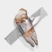 热巴问我到底回来睡不