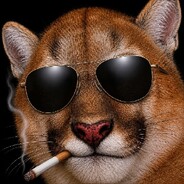PAPA_CEO_PUMA