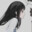 木卯