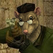Hantawirus enjoyer avatar