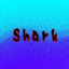 11_Shark_tt