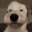 Kunji