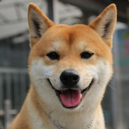 我给你学个狗叫吧