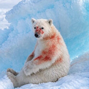 paraben's avatar