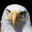 Cross-eyed Eagle