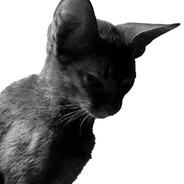 他凭什么后来居上