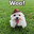 Weli