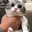 懒趴趴不动