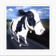 人老色衰枪法差