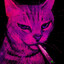 Котик