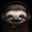Blind_Sniper
