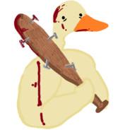 Ducks