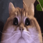 Obel1ksas avatar