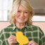 martha stewart