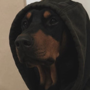 ×͜×ㅤ𝙰𝙻𝙾𝙽𝙴