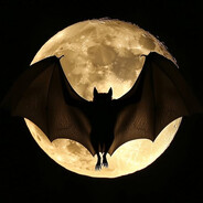 Moonbound