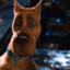 :scooby dooby doo: