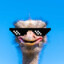 Meme_Ostrich