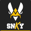 Vitality sNKy