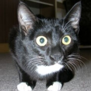 Fathoom - steam id 76561197965465194