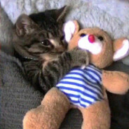 夢裏有只“鬼”