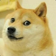 Littlemilkdog