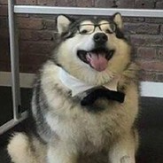 leni - steam id 76561198244530104