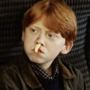 翻斗花园一枝花