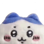 尊贵的华为nova11se用户