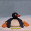 noot noot