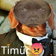 timür avatar