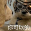灭鼠小队副队长