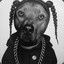 Snoop Doggy Dogg