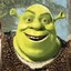 fan2shrek