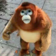 malakir avatar