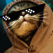 котик