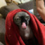 Ritzy