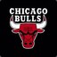 CHICAGO BULLS