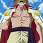 Whitebeard | OP
