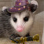 Opposum medic