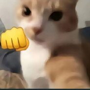 猫猫不想被人骂