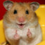 hamsterpower