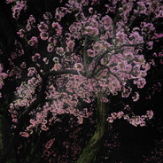 souly