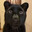 bonifacy's Avatar