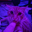 Lenny