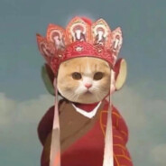 我的小鹿撞死了