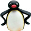 NOOT NOOT