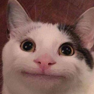 啥也不懂王某某w