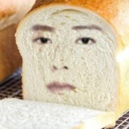 Breadhead
