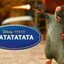 Ratatatatata